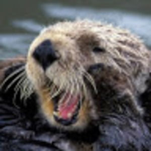 Meet your Posher, Mitchell